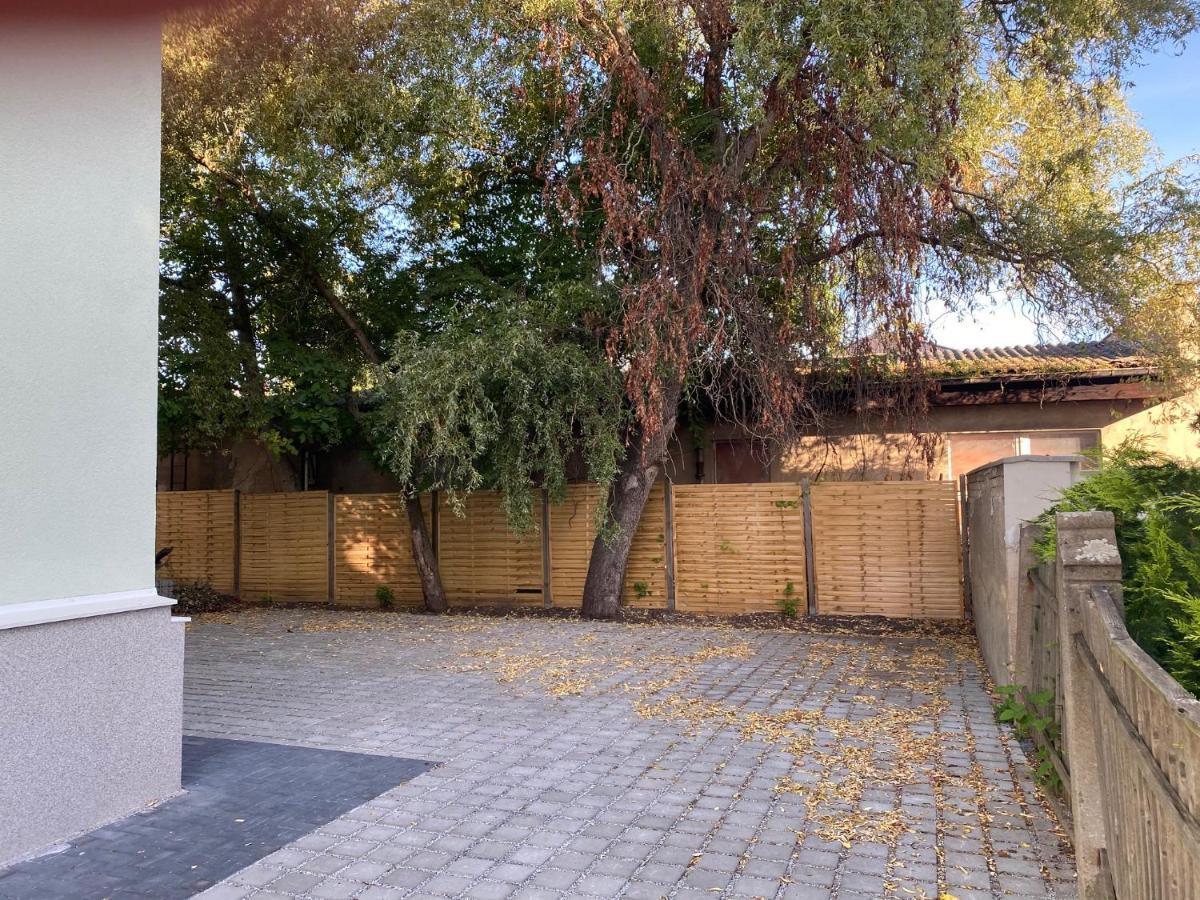 Apartmenthaus Sternstrasse ドレスデン エクステリア 写真