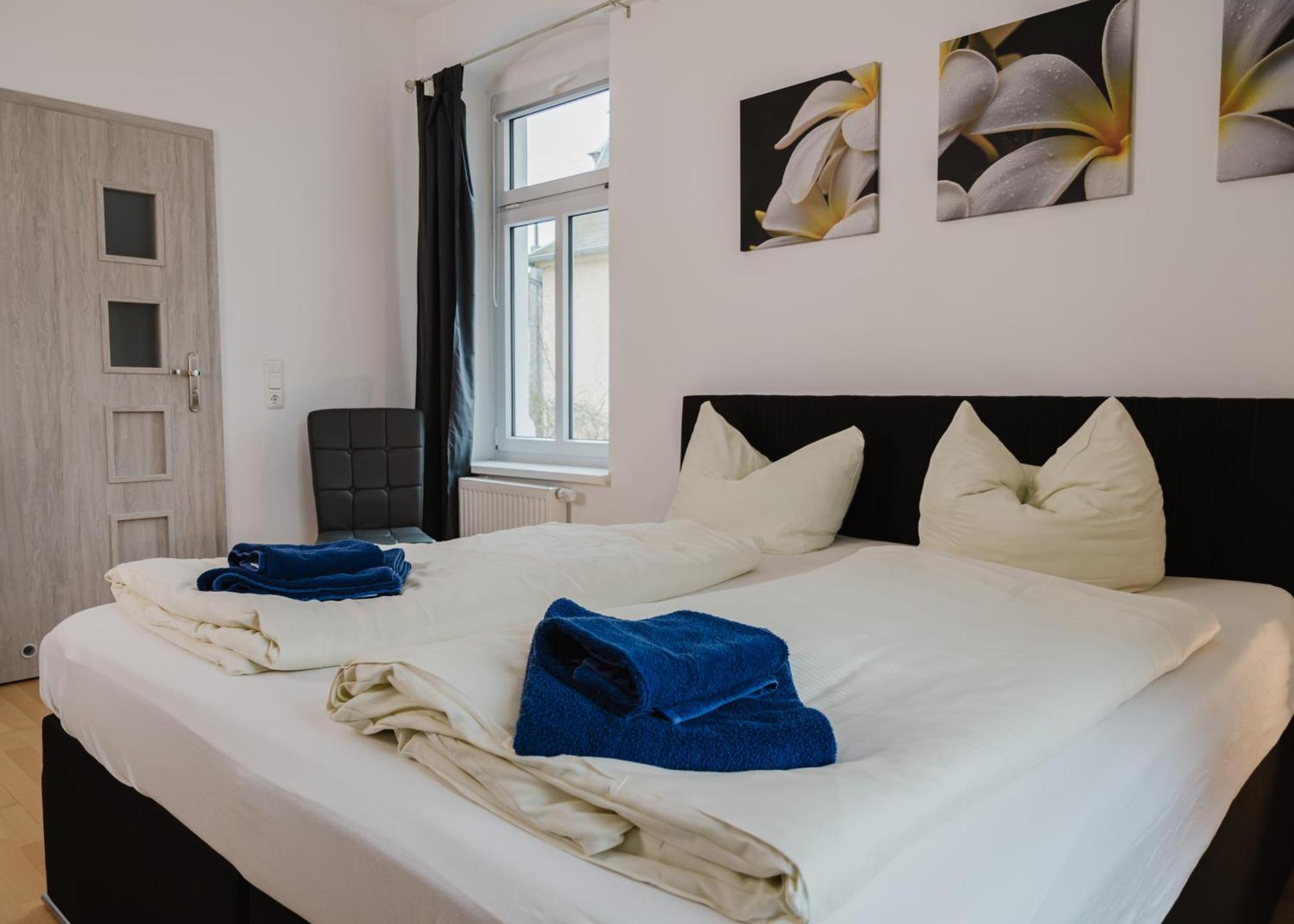Apartmenthaus Sternstrasse ドレスデン エクステリア 写真